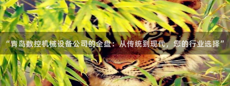 天辰娱乐文化
