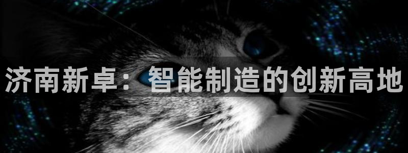 天辰娱乐输了