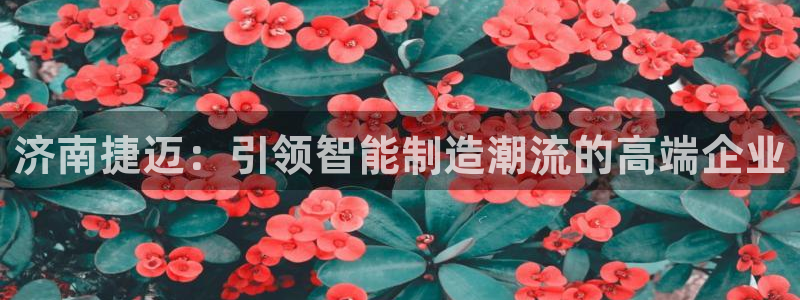 辰天娱乐用品