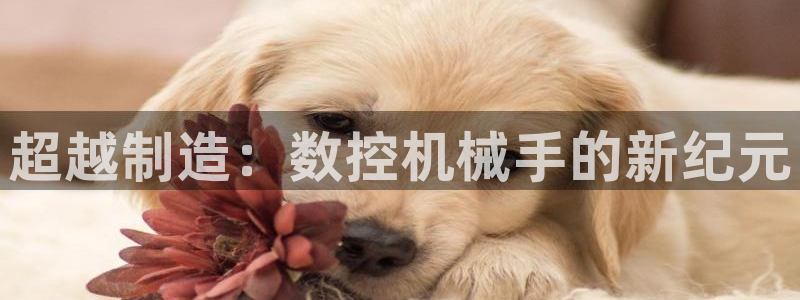 集宁天辰娱乐