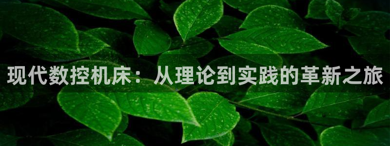 天辰娱乐路线