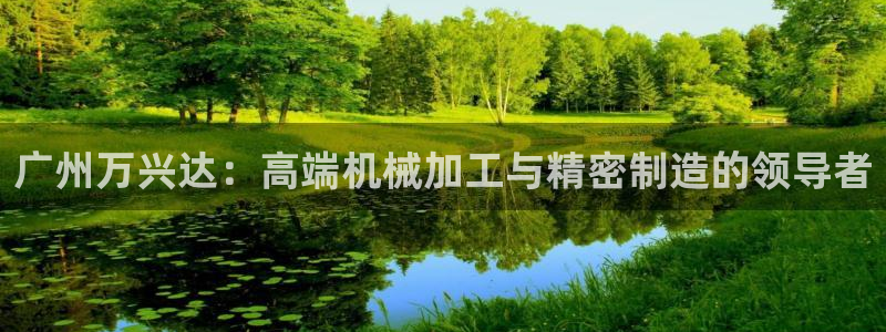 天辰娱乐鱼刺