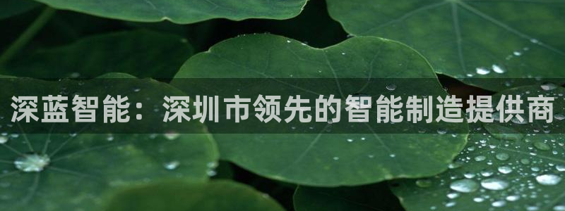 天辰娱乐分红