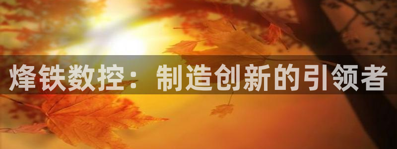 天辰娱乐黑人