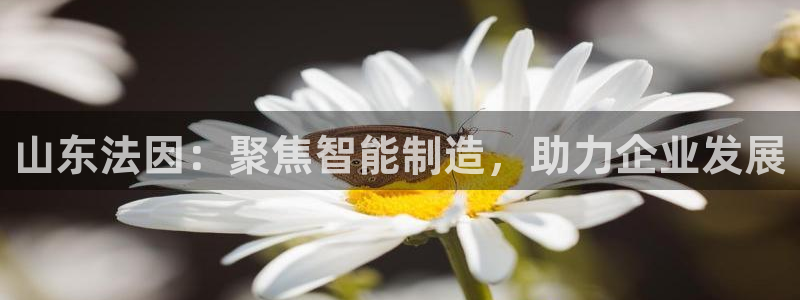 天辰娱乐路线