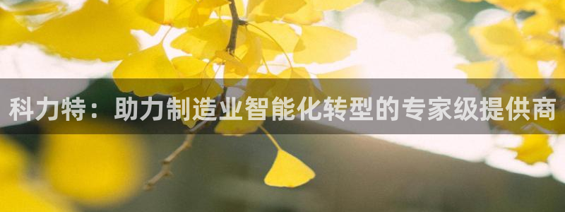 广东天辰娱乐