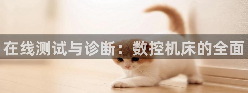 天辰娱乐娱乐平台
