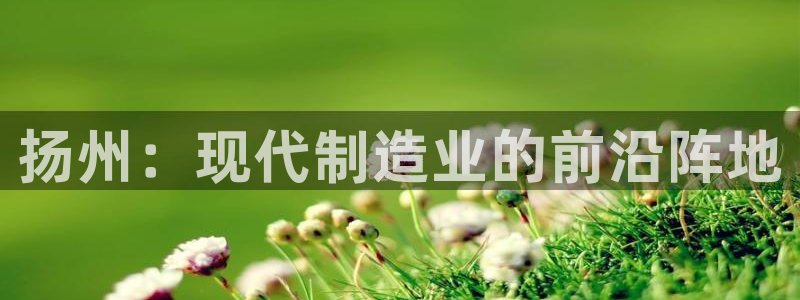 天辰娱乐小姐