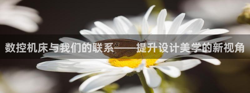 天辰天辰娱乐