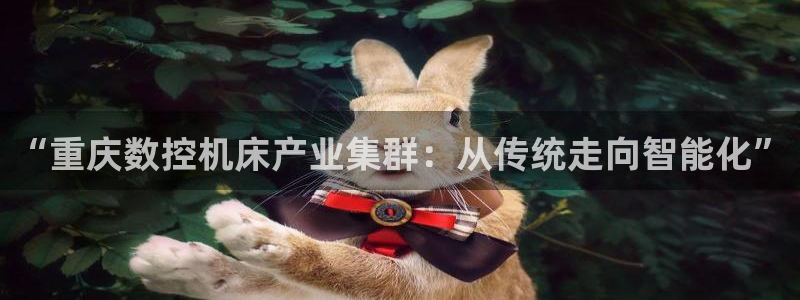 天辰娱乐:“重庆数控机床产业集群:从传统走向智能化”