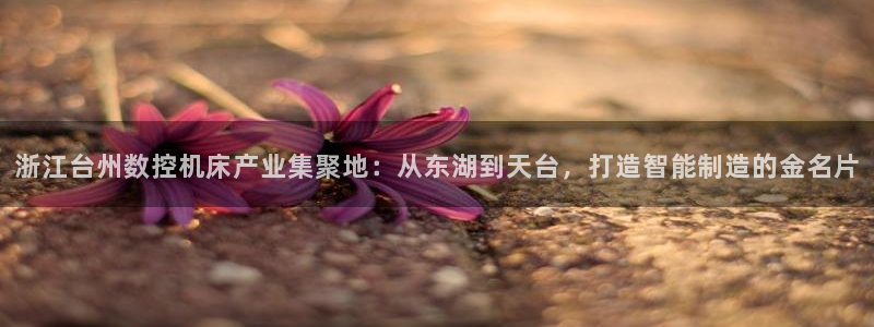 天辰娱乐主管:浙江台州数控机床产业集聚地:从东湖到天台,打造智能制造的金名片