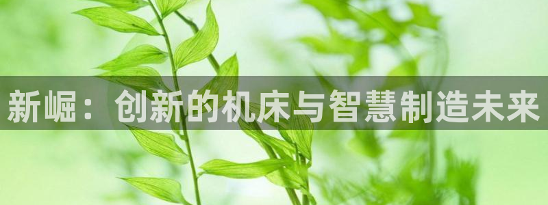 南充天辰娱乐