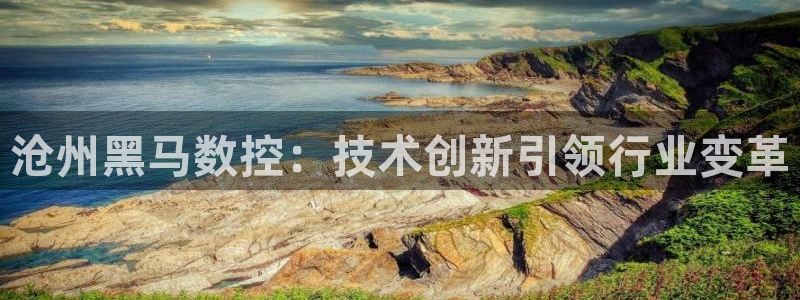 腾讯天辰娱乐:沧州黑马数控:技术创新引领行业变革