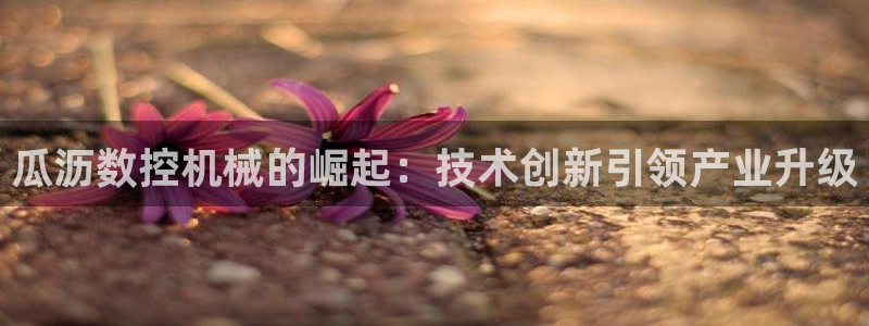 天富天辰娱乐:瓜沥数控机械的崛起:技术创新引领产业升级