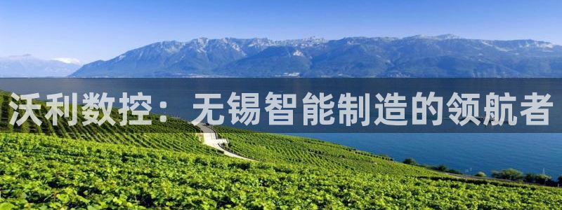 天辰娱乐1966：沃利数控：无锡智能制造的领航者