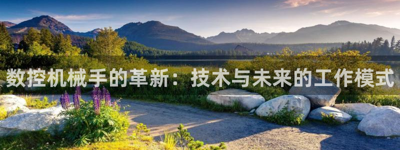 天辰娱乐集团：数控机械手的革新：技术与未来的工作模式