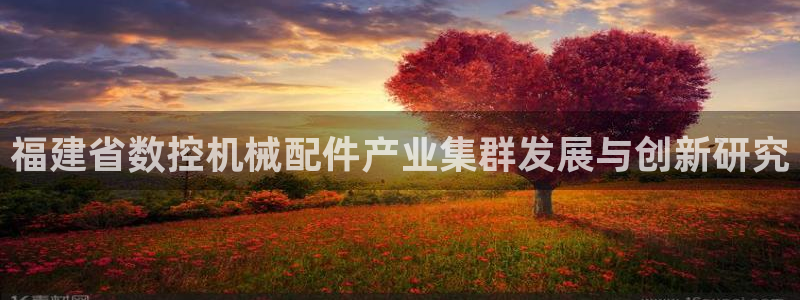 天辰辰娱乐代理：福建省数控机械配件产业集群发展与创新研究