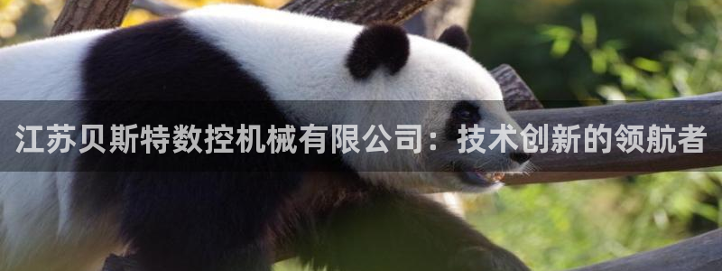 天辰娱乐总管年薪：江苏贝斯特数控机械有限公司：技术创新的领航者