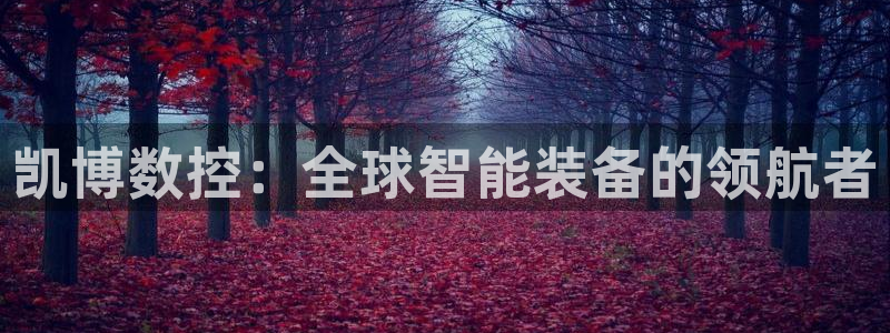 天辰娱乐在哪