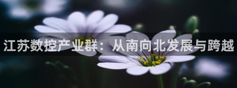天辰娱乐跑的快